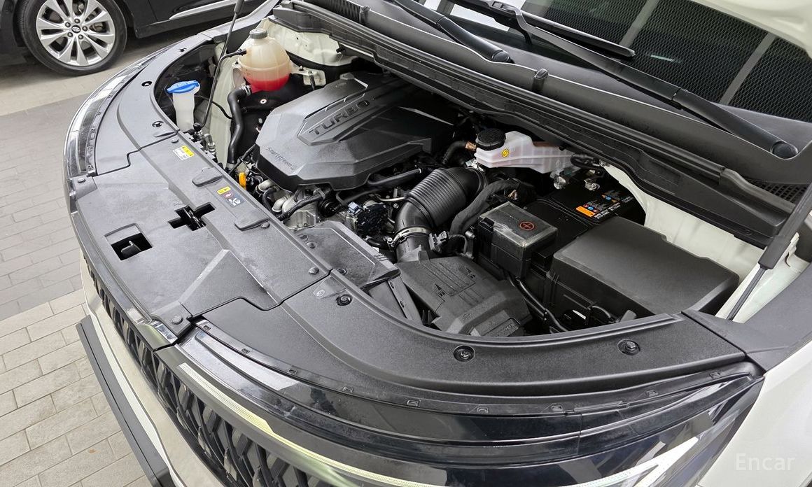  Kia Canival