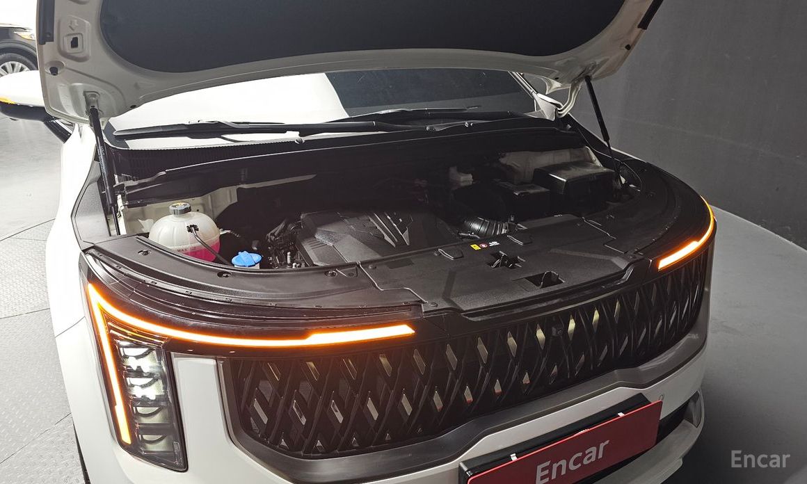  Kia Canival