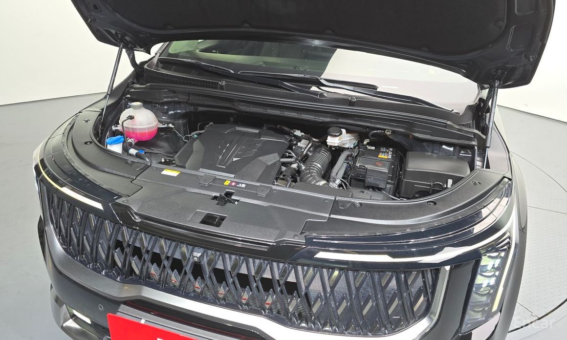  Kia Canival