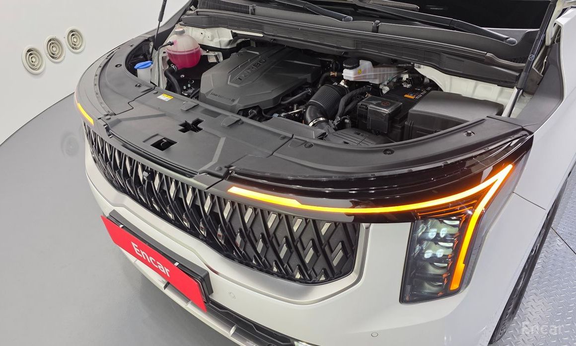  Kia Canival