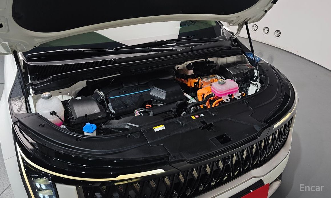  Kia Canival