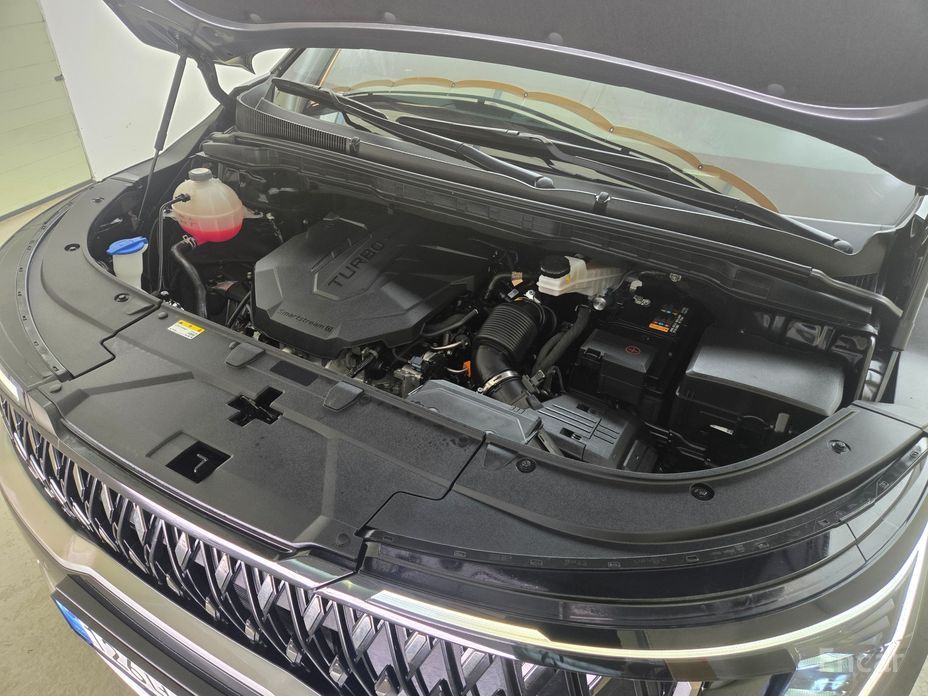  Kia Canival