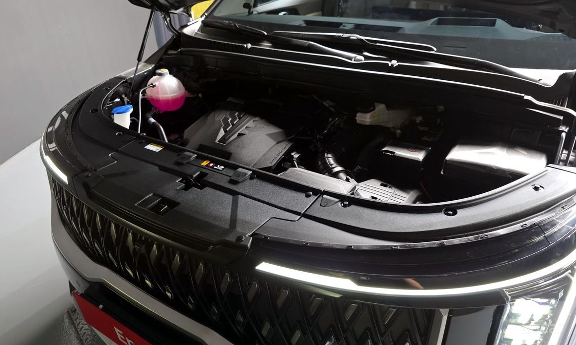  Kia Canival