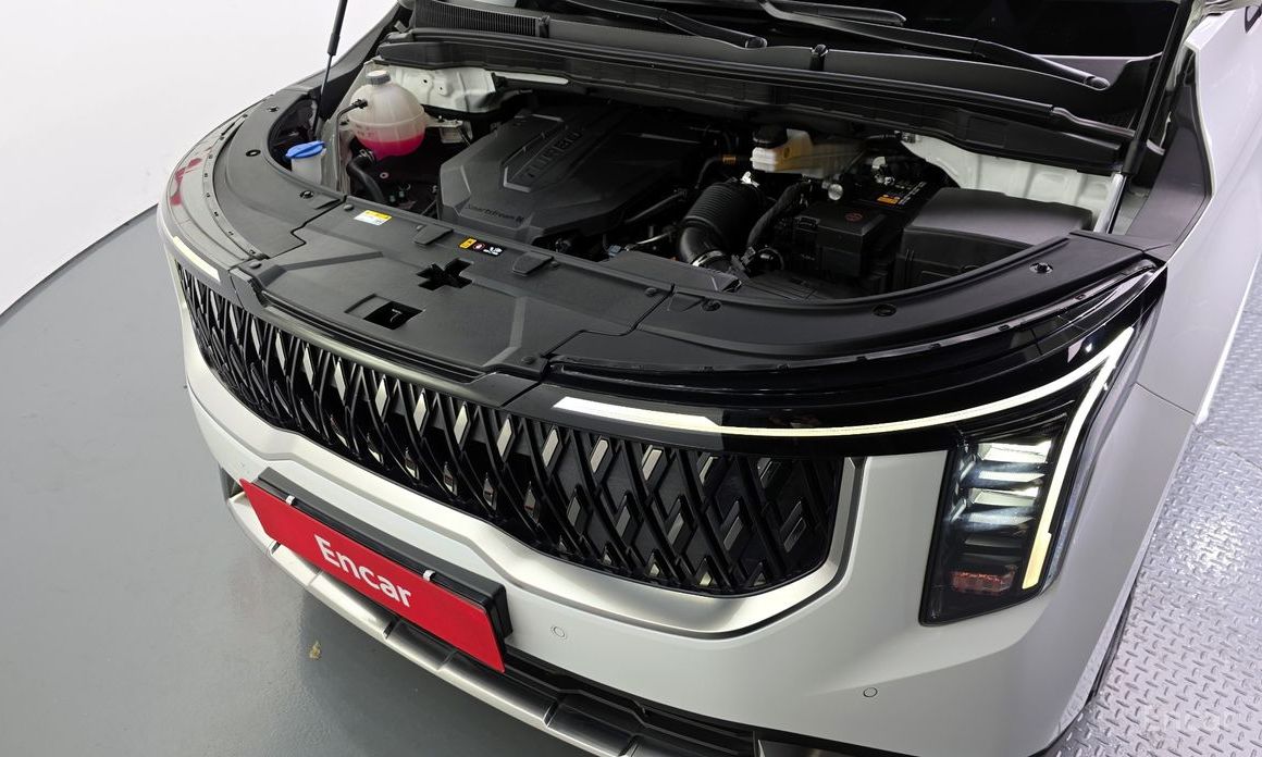  Kia Canival