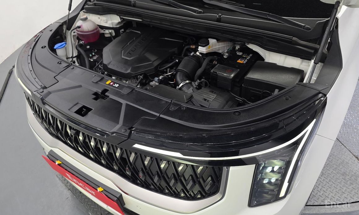  Kia Canival