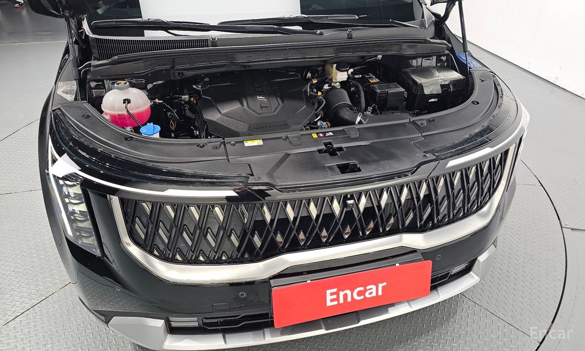  Kia Canival