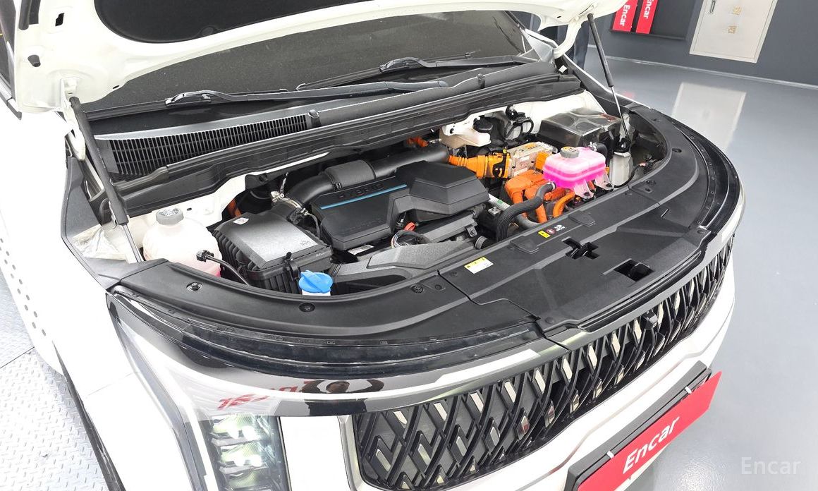  Kia Canival