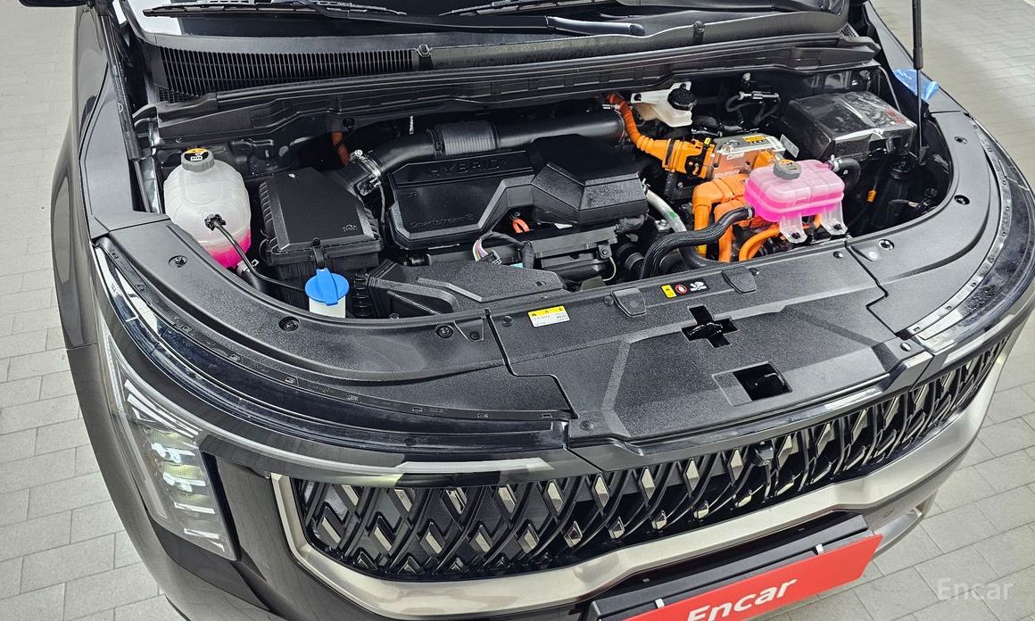  Kia Canival