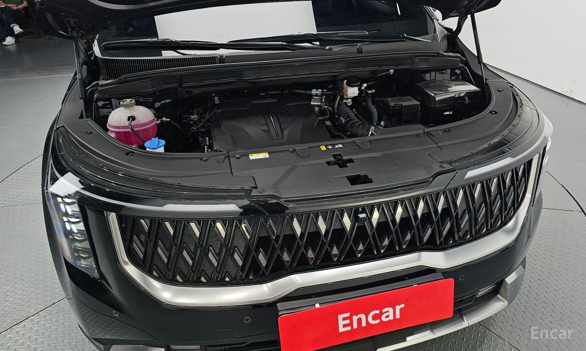  Kia Canival