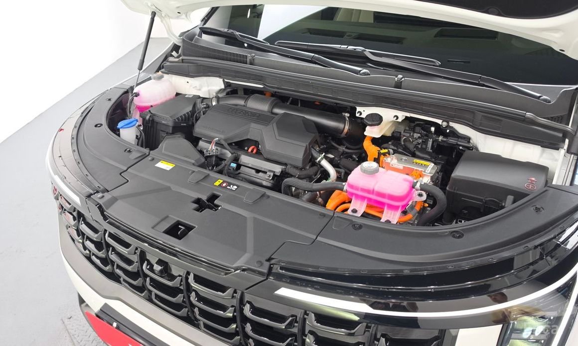  Kia Canival