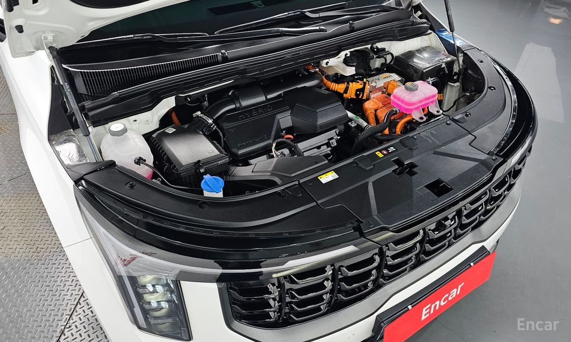  Kia Canival