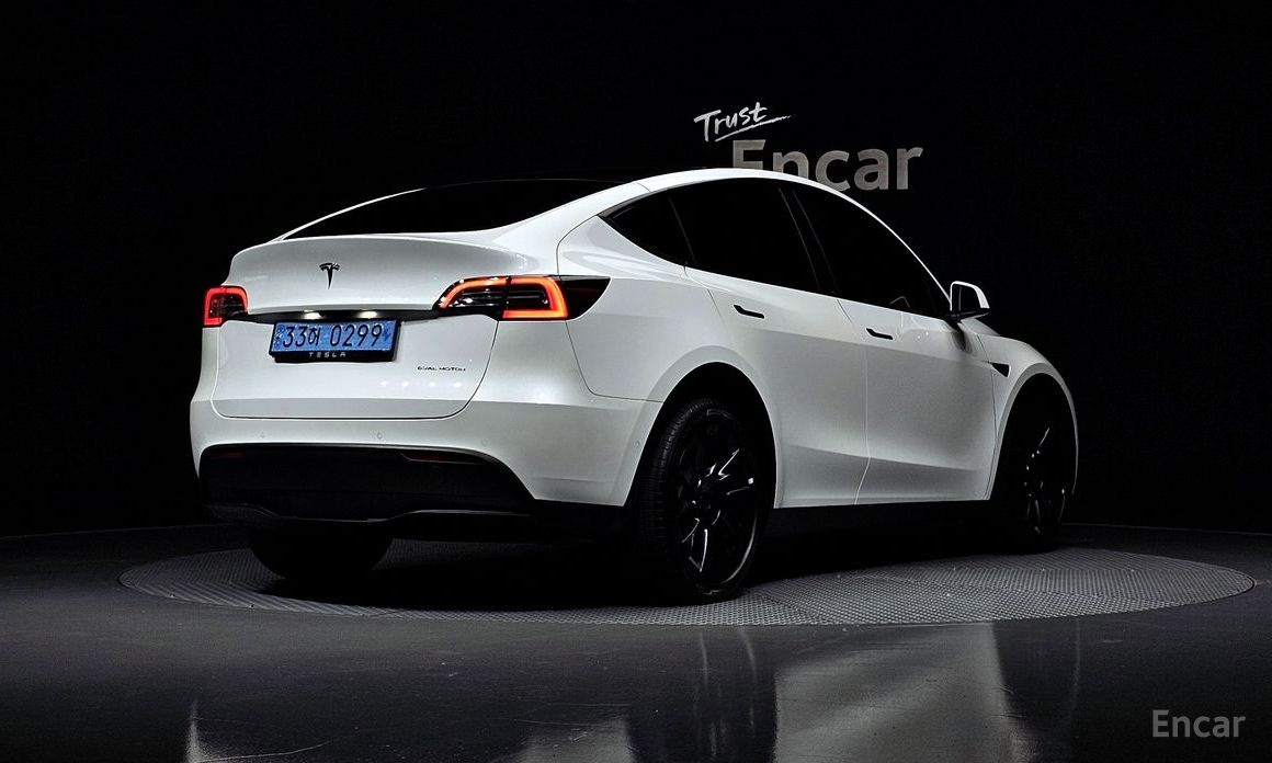  Tesla Model Y