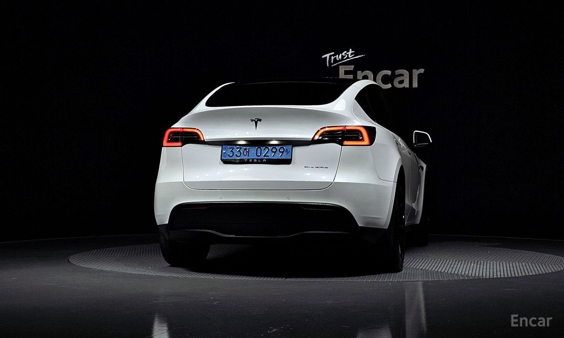  Tesla Model Y